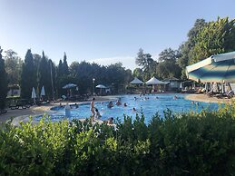 Campsite Chalet Zr28 Tuscany Near sea Viareggio