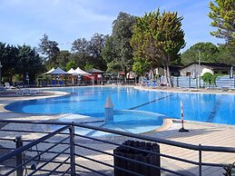 Campsite Chalet Zr28 Tuscany Near sea Viareggio