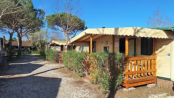 Campsite Chalet Zr28 Tuscany Near sea Viareggio