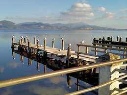 Campsite Chalet Zr28 Tuscany Near sea Viareggio