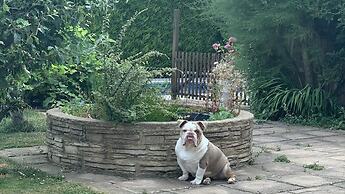 Tranquil Retreat at Oak Lodge - Swimming Pool