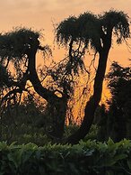 Tranquil Retreat at Oak Lodge - Swimming Pool