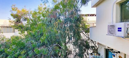 Ben Yehouda Obsidian