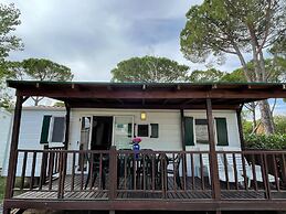 Mobile Home Deluxe With Covered Veranda Near Lake Trasimeno
