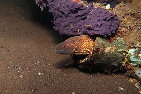 Bali North Beach B&B