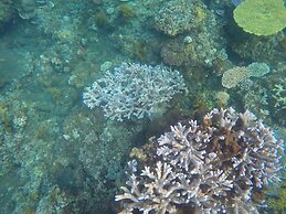 Bali North Beach B&B