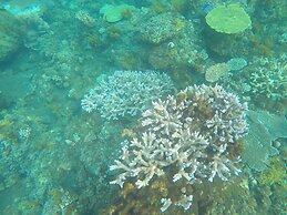 Bali North Beach B&B