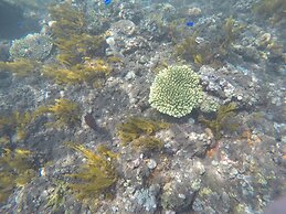 Bali North Beach B&B