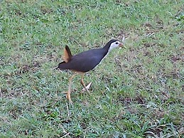 Bali North Beach B&B