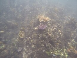 Bali North Beach B&B