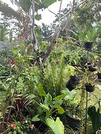 Bali Asli Guest House by EPS