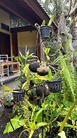 Bali Asli Guest House by EPS