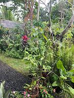 Bali Asli Guest House by EPS