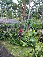 Bali Asli Guest House by EPS