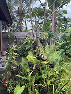 Bali Asli Guest House by EPS