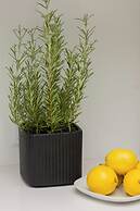 Warsaw Domaniewska by Renters Prestige