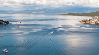 Mare Alba