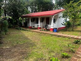 Maior Roma by jolly jolly lester