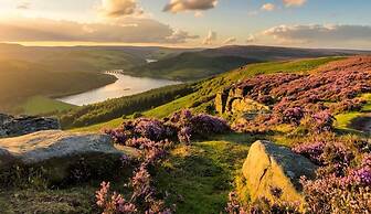 Hilltop Serviced Apartments-Sheffield