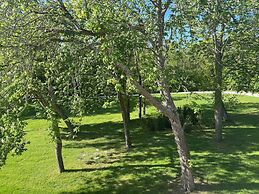 Les Hayes en Sologne