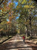 Les Hayes en Sologne