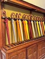 Les Hayes en Sologne