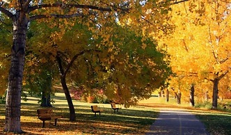 TOP 5 DT Riverside Walking Trails Free Parking