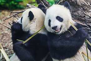 TOP 5 DT Riverside Walking Trails Free Parking