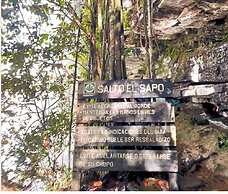 Campamento Canaima - All Inclusive
