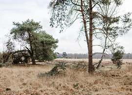 Chalet Near Eindhoven With Private Sauna