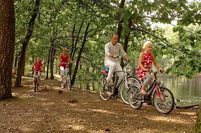 Modern Chalet With Wellness, in a Holiday Park at 12 km. From Eindhove