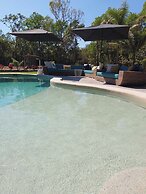 Oasis by Anglers Choice