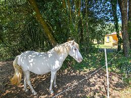 Gite in Holiday Park With Swimming Pool