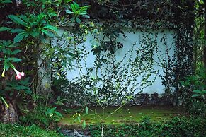 Reen Resorts Aanavilasam Thekkady