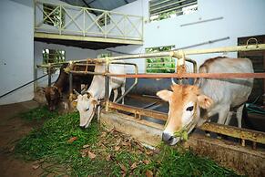 Reen Resorts Aanavilasam Thekkady