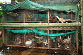 Reen Resorts Aanavilasam Thekkady