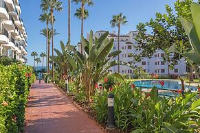 Mi Capricho Modern Sunshine