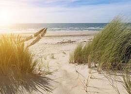 Beachside Villa + Sauna