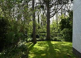 Beachside Villa + Sauna