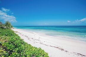 Flipper'S Haven: Tropical Retreat