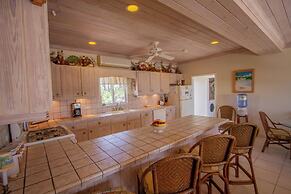 Flipper'S Haven: Tropical Retreat