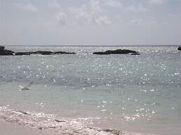 Tropical Hideaway: Charming Cottage Near Pink Sands Beach