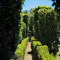 Quinta Morazes - Casa de Campo