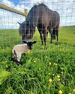 Secluded Converted Horsebox Retreat in Welcombe