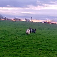 Secluded Converted Horsebox Retreat in Welcombe