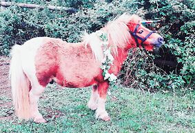 Secluded Converted Horsebox Retreat in Welcombe