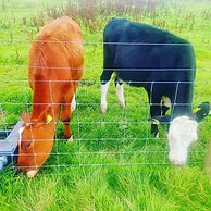 Secluded Converted Horsebox Retreat in Welcombe