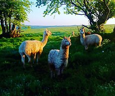 Secluded Converted Horsebox Retreat in Welcombe