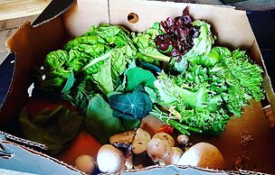 Secluded Converted Horsebox Retreat in Welcombe