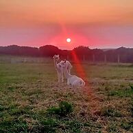 Secluded Converted Horsebox Retreat in Welcombe